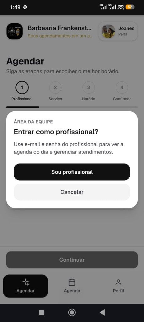 Tela do profissional na Ajenda: entra como profissional